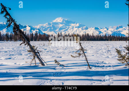 20,320' Mount Denali, formerly known as Mount McKinley, is seen from the Chulitna snowmobile trail on a clear sunny winter day in South-central Alaska Stock Photo