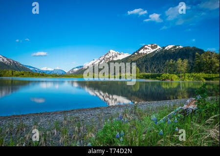 The calm waters on a unnamed lake in Portage Valley on a sunny, summer evening in South-central Alaska; Alaska, United States of America Stock Photo
