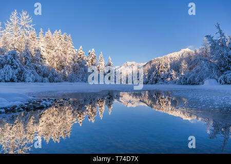 Winter afternoon along the shoreline of Mendenhall River, Tongass National Forest; Juneau, Alaska, United States of America Stock Photo