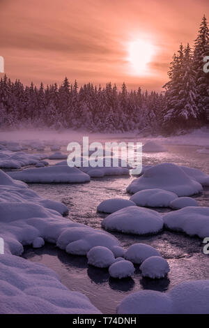 Winter afternoon along the shoreline of Mendenhall River, Tongass National Forest; Juneau, Alaska, United States of America Stock Photo