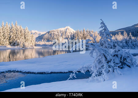 Winter afternoon along the shoreline of Mendenhall River, Tongass National Forest; Juneau, Alaska, United States of America Stock Photo