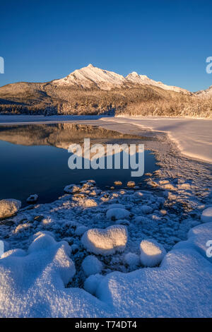 Winter afternoon along the shoreline of Mendenhall River, Tongass National Forest; Juneau, Alaska, United States of America Stock Photo