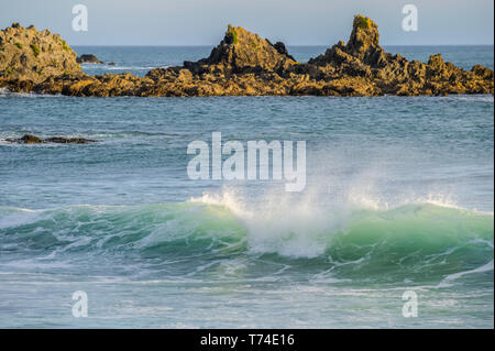 Waves splashing as they break close to shore and rugged rocks along the South coast; Wellington, New Zealand Stock Photo