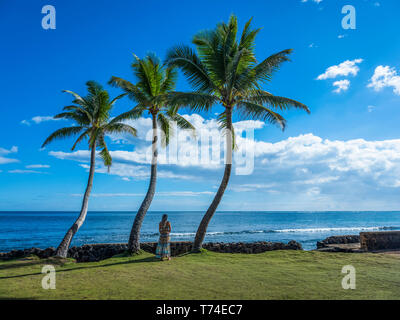 Woman standing under palm trees along the shoreline; Oahu, Hawaii, United States of America Stock Photo