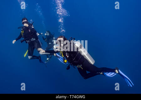 Scuba divers in Roatan Marine Park, West End Wall dive site; Roatan, Honduras Stock Photo