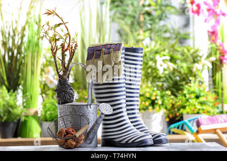 Composition with rubber boots, flower bulbs and watering can on wooden table in garden Stock Photo