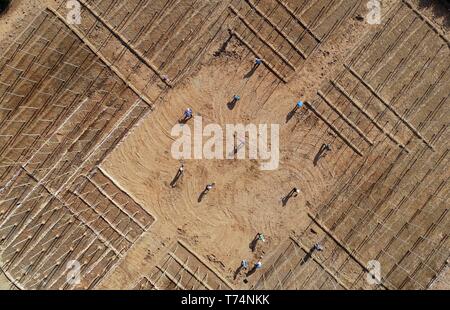 Shijiazhuang. 2nd May, 2019. Aerial photo taken on May 2, 2019 shows workers planting trees at the site of ecological restoration project on Jinling iron mine in Caiyuan Township of Qian'an City, north China's Hebei Province. Local government has devoted to the reclamation and afforestation of mine areas in recent years. Credit: Yang Shiyao/Xinhua/Alamy Live News Stock Photo