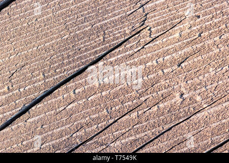 macro shot from above of piece of wood Stock Photo