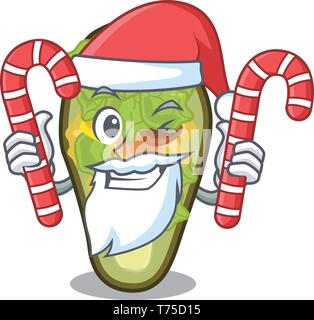 Santa with candy stuffed avocado in the mascot shape Stock Vector