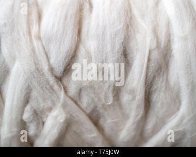 Freshly harvested cotton fibers ready for the processing close up Stock Photo