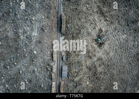 Flying above shocking deforestation, destroyed forest, Poland Stock