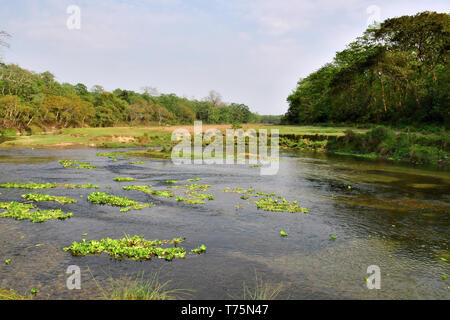 Chitwan National Park, Nepal, UNESCO World Heritage Site Stock Photo