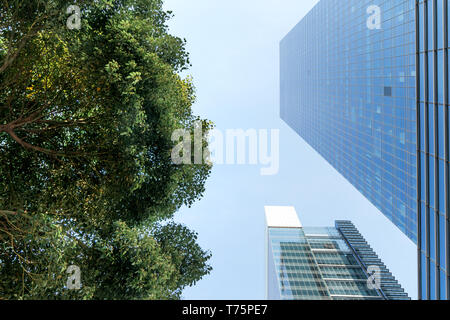 The landscape in the center of city, modern commercial background. A sunny day. Stock Photo