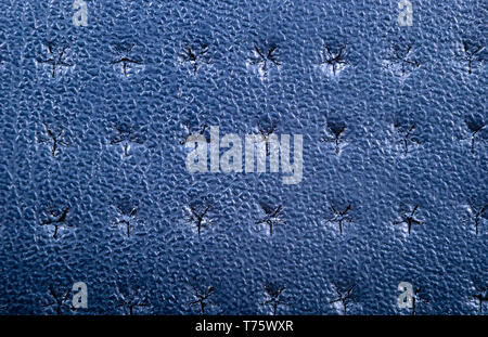 Blue perforated leather texture background. Leather close up. Macro shot of shiny leather texture. Stock Photo