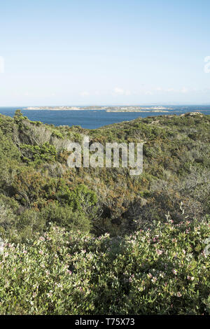 Islands of the Reserve Naturelle Iles Lavezzi near Bonifacio Corsica France Stock Photo