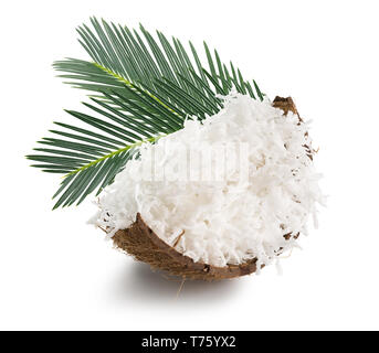 coconut with coconut flakes and palm leaves isolated on the white background. Stock Photo