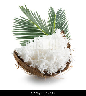 coconut with coconut flakes and palm leaves isolated on the white background. Stock Photo
