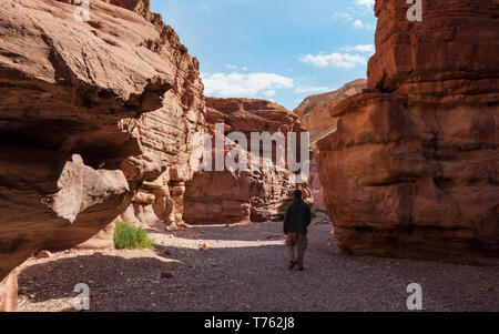 a solitary hiker exploring the red canyon in the eilat mountains in Israel near the east end of the narrow section of wadi shani Stock Photo