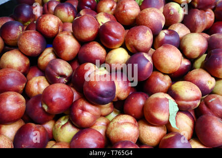 Fresh bunch of peaches fruit at market on sale, close up full frame Stock Photo