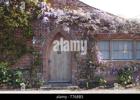 Beautiful cottage with wisteria over church style wooden door in Walberswick Stock Photo
