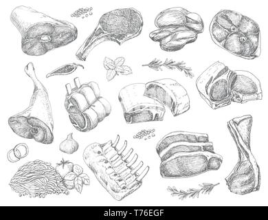 Vector set of different meats in sketch style. Vector illustration for your design Stock Vector