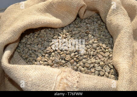 Unroasted dry green coffee beans in a burlap sack of rough canvas exposed in daylight as food for commerce in vegetables for beverages and drinks. Stock Photo