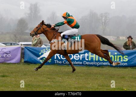 A horse and rider in one of the morning pony races at Andoversford. Stock Photo