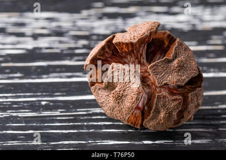 One dried cypress cone on a dark wooden background close-up Stock Photo