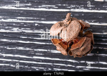 One dried cypress cone on a dark wooden background close-up Stock Photo