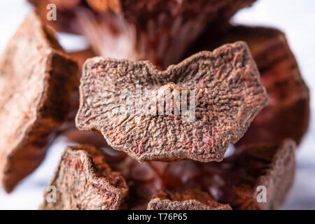 One dried cypress cone on a white painted wooden background close-up Stock Photo
