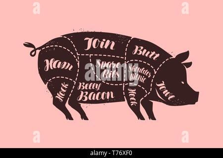 Cuts of meat, pig. Butcher shop, pork vector illustration Stock Vector