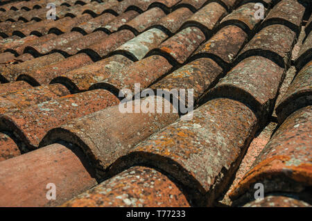 Close-up of shingle on roof covered by moss and lichens in sunny day at the Castle of Elvas. A gracious city on the easternmost frontier of Portugal. Stock Photo