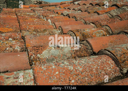 Close-up of shingle on roof covered by moss and lichens in sunny day at the Castle of Elvas. A gracious city on the easternmost frontier of Portugal. Stock Photo