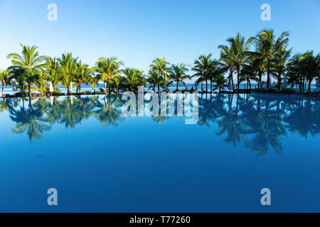Beach and holiday impressions with palms on the beautiful island of Mauritius Stock Photo