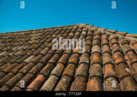 Close-up of tiles on roof covered by moss and lichens in a sunny day at the Castle of Elvas. A gracious city on the easternmost frontier of Portugal. Stock Photo