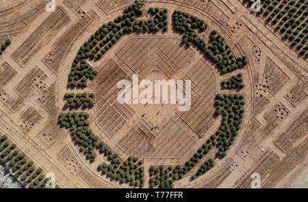 Beijing, China. 2nd May, 2019. Aerial photo taken on May 2, 2019 shows workers planting trees at the site of ecological restoration project on Jinling iron mine in Caiyuan Township of Qian'an City, north China's Hebei Province. Credit: Yang Shiyao/Xinhua/Alamy Live News Stock Photo
