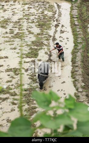 A Chinese villager of Miao ethnic group wearing traditional costumes  practises ''Miao stickfighting'', a unique martial art of the Miao Martial  Arts i Stock Photo - Alamy