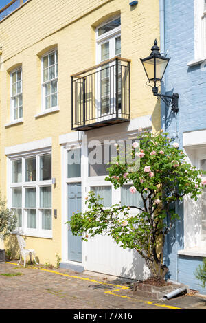 Colourful House and pink rose bush in Princes Gate Mews, Kensington, London, England Stock Photo