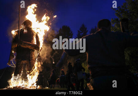 Members of the Pentacle Drummers perform in front of the burning wickerman during the Beltain Festival, an ancient Celtic celebration to mark the beginning of summer, at Butser Ancient Farm, Waterlooville, Hampshire. Stock Photo