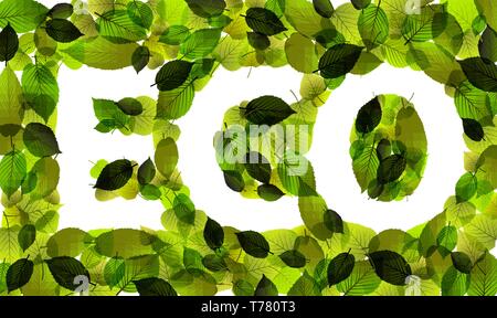 Eco - vector word made from fresh green leafs Stock Vector