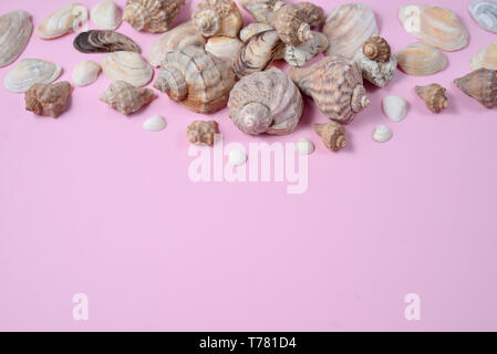 Summer composition.Flat lay, top view of various kinds seashells on pink background. Copy space in minimal style, template for text. Vacation concept Stock Photo