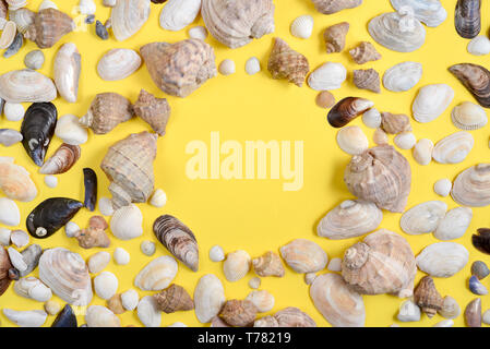Summer composition.Flat lay, top view of various kinds seashells on yellow background. Copy space in minimal style, template for text. Vacation concep Stock Photo