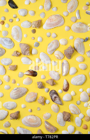 Creative various seashell pattern on pastel yellow background. Summer vacation concept. Marine background Stock Photo