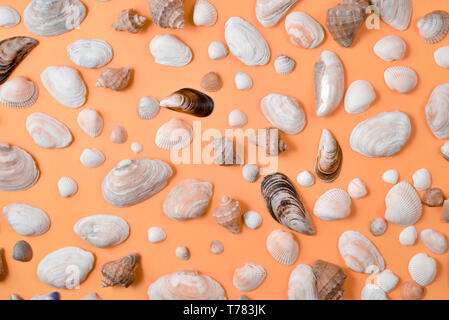 Creative various seashell pattern on pastel orange background. Summer vacation concept. Marine background Stock Photo