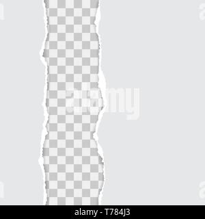 set of white torn paper. vector illustration with shadows Stock Vector