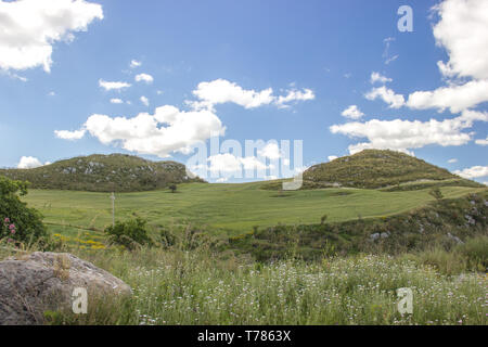 Scenic rural landscape close up, far hills in the green grass and blue sky in spring Stock Photo