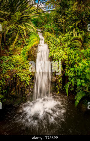 Waterfall in the tropical rain forest Stock Photo