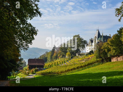 Meggenhorn Castle with vineyard in Lucerne, Switzerland. The castle is a Swiss heritage site of national significance. Stock Photo