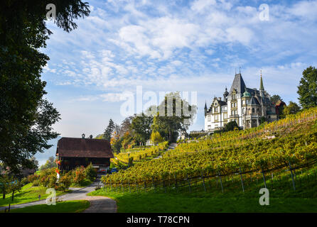 Meggenhorn Castle with vineyard in Lucerne, Switzerland. The castle is a Swiss heritage site of national significance. Stock Photo