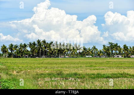 Around the Santiago City, Isabela, Philippines, Santiago City ...